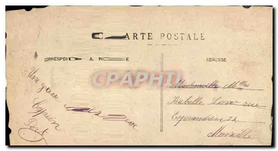 Ave e flores — carta postal decorativa — editor desconhecido — Verso