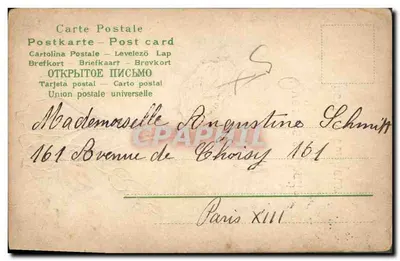 Fleur rose — illustration — éditeur non visible — Verso