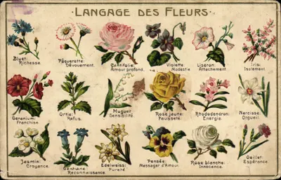 Bilhete postal antigo Fantasia Língua das Flores