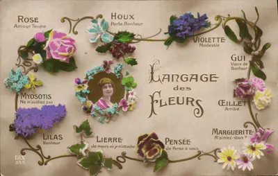 Linguagem das Flores — DIX 555
