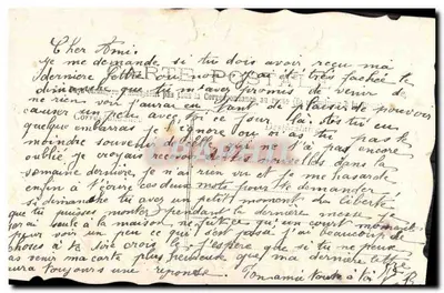 Flores azuis e samambaias — carta postal antiga — editor não visível — Verso