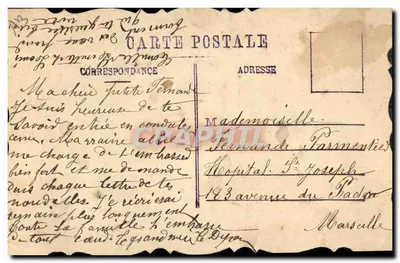 Íris violeta — Flor da Amizade — Carta postal — Verso