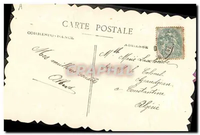 Fleur de primevère — carte postale avec texte imprimé et signature 'Albert' — Rewers