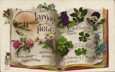 O idioma das flores — Paris 2003 — Editor B. C. Paris