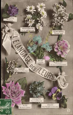 O idioma das flores — Carte postale illustrée — V.O. (éditeur inconnu)