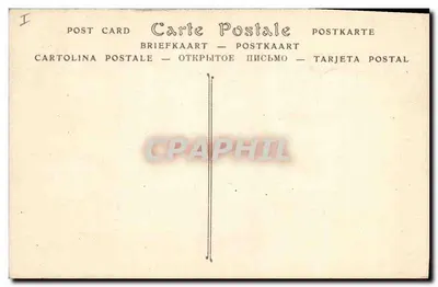 Palmiery z owocami daty — ND Phot. — nr 529 T — Rewers