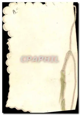 Bom aniversário — carta decorativa com rosas — sem editor ou número visível — Verso