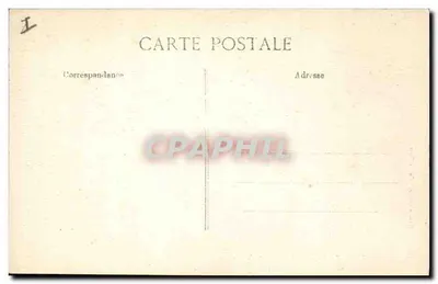 Pinos parasol na estrada de Valescure — Côte d'Azur - Saint-Raphaël — n°113 — Verso