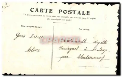 Due uccelli bianchi in un cesto fiorito — Auguri sinceri — Cartolina postale — Verso