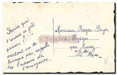Pezones y flores — tarjeta postal humorística — editor no identificado — Reverso