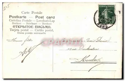 Biała krowa otoczona niebieskimi kwiatami — Souvenir — Kartka pocztowa — Rewers
