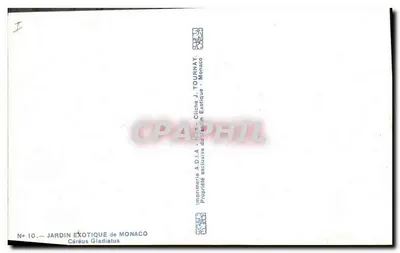 Céréus Gladiatus — Jardim Exótico de Mônaco — Impressora A.D.I.A. - Cliché J. Tournay — Verso