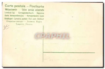 Cherub dans une lettre S — décorée de fleurs — Carte postale universelle — Verso