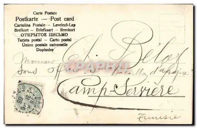 Flor de papoula rosa — com laço — editor desconhecido — Verso