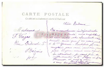 Flores de lavanda — carta postal decorativa — editor não visível — Verso