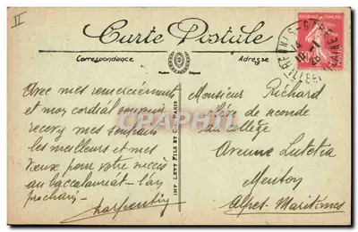Rennes - Jardin des Plantes - Ceder libański - LL. N° 168 — Rewers
