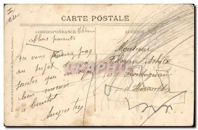 Nîmes — Ogród Fontaine, Cedr — Wydawca: Fototypia Sztuki i Przemysłu Południowo-Zachodniego — Rewers