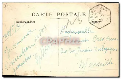 Peira-Cava — Kąt lasu — Fot. Cauvin - Nice, nr serii 1894 — Rewers