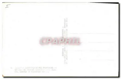 Jardim Exótico de Mônaco — Grupo de Céréus e Opuntias diversas — Verso