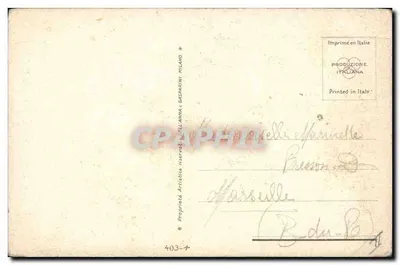 Winogrona — ilustracja botaniczna — B. Raslina, seria 403-4 — Rewers