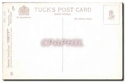 Natureza morta — vaso de água em metal, tomates e cogumelos — Tuck's Post Card n°347 — Verso