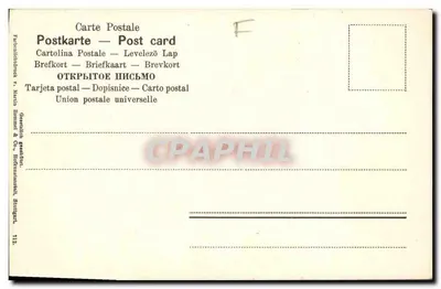 Tangerinas — fruto em ramo — Greetsdijk & Co., Strijen — Verso