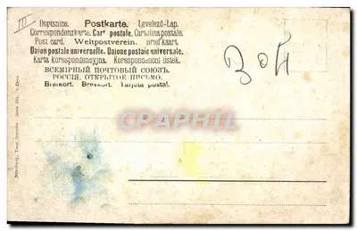Natura morta con uva e fiori — editore Nürnberg, Theo Streeter, serie 234 — Verso