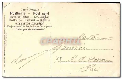 Galho de pinheiro com cones — editor não visível — carimbo 5c República Francesa — Verso