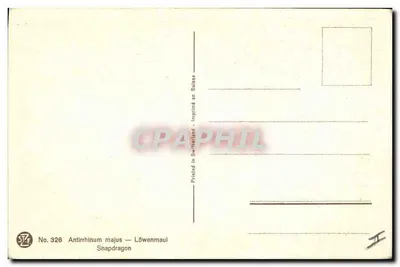 Antirrhinum majus — Snapdragon — impresso na Suíça, n° 328 — Verso
