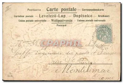 Rosas — ilustração aquarelada — editor C. Bourgogne, n° II — Verso