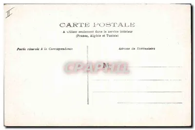 Arranjo de campanulas brancas — ilustração botânica — No.394 — Verso