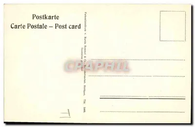Frutas e folhas de prunus — edição Martin Rommel & Co. — n° 17 — Verso