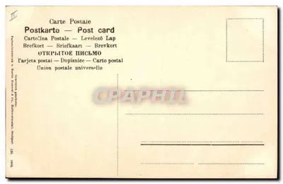 Ramal de pinheiro — cones vermelhos — editor G. H. Hoffmann & Co. Stuttgart — Verso