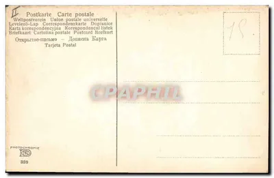 Citrus — laranjas em ramo — Fotocromia n°389 — Verso