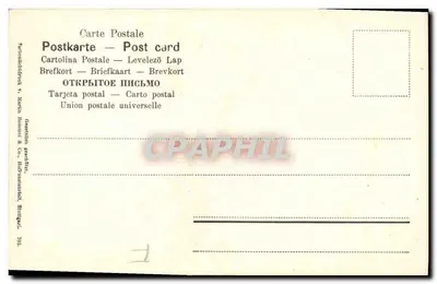 Prunus domestica — Prunus domestica — editor: Gesellschaft Kesslitz, Stuttgarter, n°705 — Verso