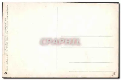 Uva rossa — illustrazione botanica — Nauturphen-Phot. Ser. n° Fräbiete 9, Rommer & Vorma, Dresda — Verso