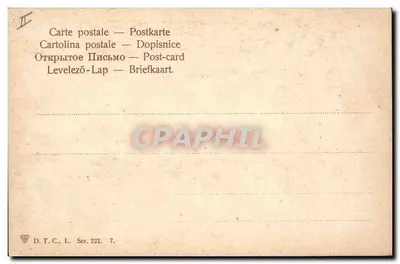 Ramos de cerejas — ilustração botânica — D.T.C., L. Ser. 222, n°7 — Verso