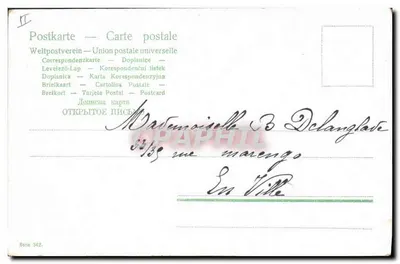 Czerwone winogrona — ilustracja botaniczna — seria 342, wydawca nieznany — Rewers