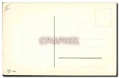 Agrupaciones de uvas — rojas y blancas — firmado por N. Brascil — Reverso