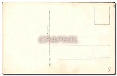 Brisa de Natal — ilustração botânica — editor Martin Lommel & Cie, Stuttgart, n° 339 — Verso