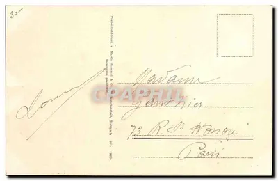 Koszyk tulipanów i płaczliwych osierdzian — wydawca nie widoczny — datowany 1903 — Rewers