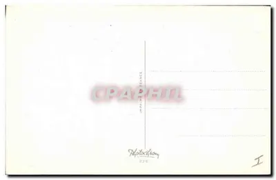 Buquê de flores — Papoula, margaridas e cornicúlias — Photocchion, n°236 — Verso