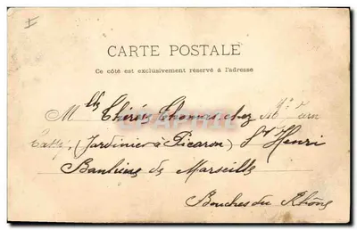 Bilhete postal antigo Árvore Monts des Maures Uma floresta de carvalhos — Verso