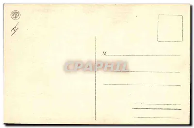 Floresta dos Cedros de TÉNIET-EL-HAAD — 24/16 — editor não identificado — Verso