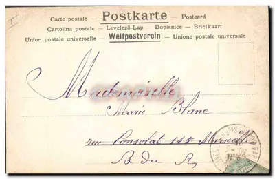 Nozes e folhas de carvalho — Original-Photocromie N. & O., Dr. Nr. 226 — Verso