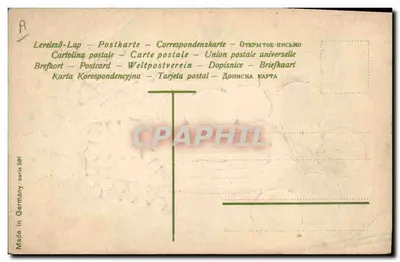 Nature morte com frutas — cesta de pêssegos e cachos de uvas — Made in Germany, série A81 — Verso