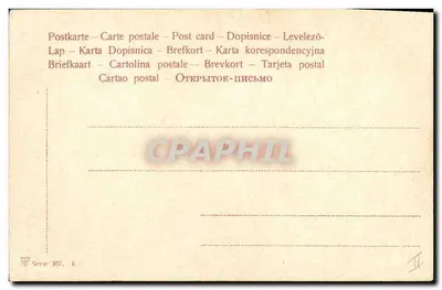 Czerwona i żółta tulipana — na tle szarego tkaniny — seria 307, n°4 — Rewers