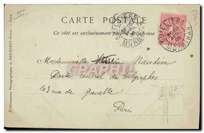 Bégonia, var. Gloire de Lorraine — kolekcje ND Phot — n°4 — Rewers
