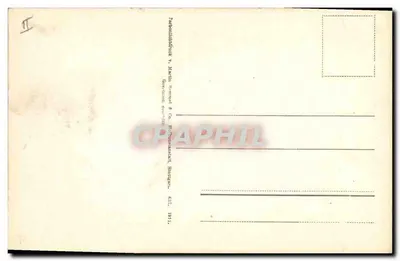 Arranjo de primaveras amarelas — em um vaso escuro — editor Martin Wommat & Co., Stuttgart — Verso