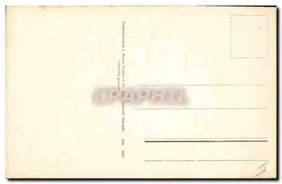 Arranjo de hortência e visco — editor Martin Rommel & Co. n° 850 — datada 1911 — Verso